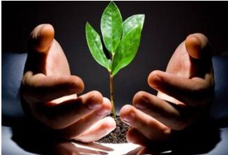 1011008.jpg (327��223)