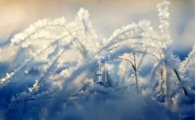 1221020.jpg (389×239)