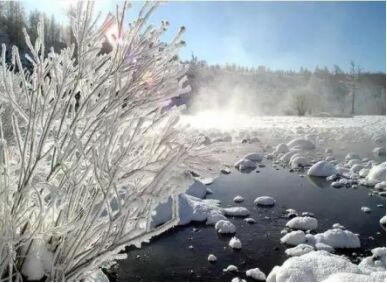 1221022.jpg (387×283)