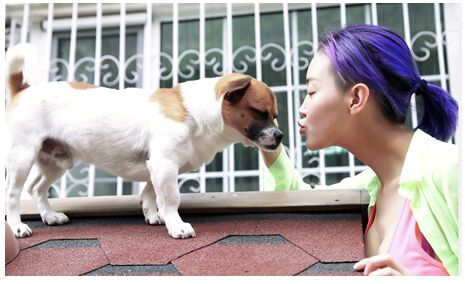 性感女神潘春春佛山缤纷嘉年华粉丝见面会-山